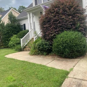 Bush Trimming by Grass gang reviewed on July 4, 2025