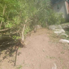 Cleanups by Mike’s lawn care reviewed on July 10, 2022