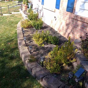 Weed Pulling by Short Guy Inc Home Services reviewed on June 15, 2025