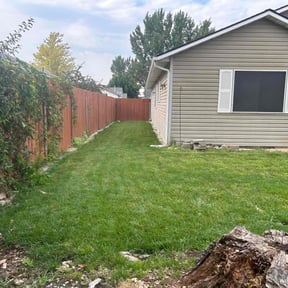 Bush Trimming by One yard at a time reviewed on July 29, 2022