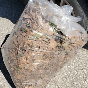 Leaf Removal by After Care Express SVC Landscaping & Maintenance reviewed on June 9, 2022