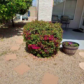 Bush Trimming by E&E Landscape Services reviewed on November 15, 2024