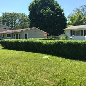 Bush Trimming by B&B Lawncare reviewed on June 4, 2022