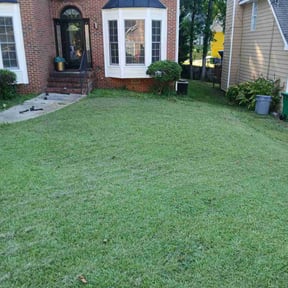 Bush Trimming by Divine Cutz reviewed on August 7, 2022