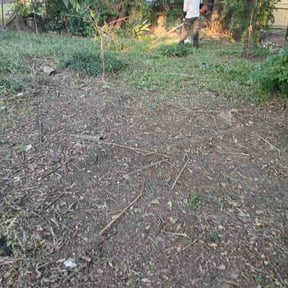 Cleanups by Unlimited Lawn Care reviewed on June 3, 2022
