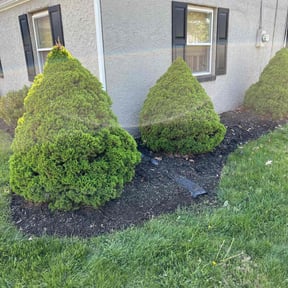 Flower Bed Weeding by FRL Landscaping reviewed on August 8, 2022