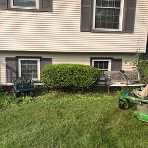 Bush Trimming by Grass stains 4 life lawn care, landscaping, snow removal, LLC reviewed on November 26, 2022