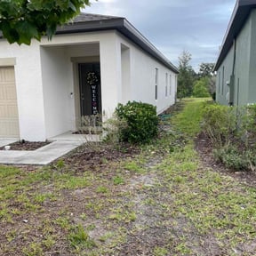 Bush Trimming by Ortega lawn services LL reviewed on June 13, 2022