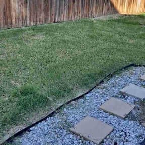 Cleanups by Blue Line Landscaping reviewed on June 25, 2022