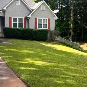 Bush Trimming by A. I. Lawn & Maintenance reviewed on April 17, 2025