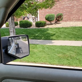 Bush Trimming by Biggs customs reviewed on March 21, 2022