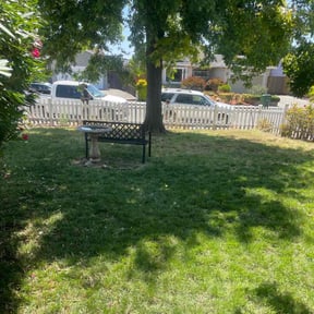 Bush Trimming by Terra Verde Landscape & Design reviewed on July 8, 2025