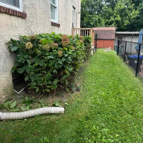 Bush Trimming by Daniel's lawn care service LLC reviewed on July 10, 2022