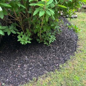 Mulching by LSLTDallas/FortWorthTruGreen reviewed on February 11, 2025