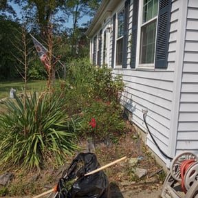 Weed Pulling by Steve’s mowing company reviewed on August 26, 2024