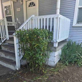 Bush Trimming by Trevarius Potter Lawn Care & Pressure Washing LLC reviewed on July 24, 2022