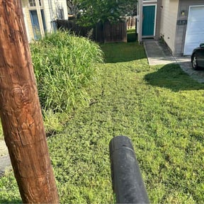 Cleanups by A&B lawn Service reviewed on September 25, 2020