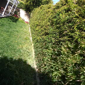 Bush Trimming by RJ's Lawn Care reviewed on May 18, 2022