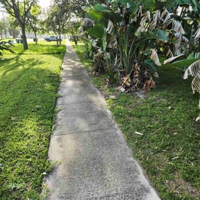 Bush Trimming by Waters Landscaping reviewed on June 27, 2025