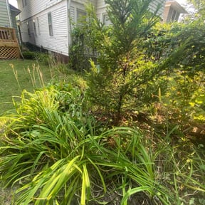 Flower Bed Weeding by Lagger Properties reviewed on November 22, 2022