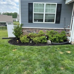 Cleanups by Household Maintenance &amp; Lawn Care Services reviewed on December 14, 2024