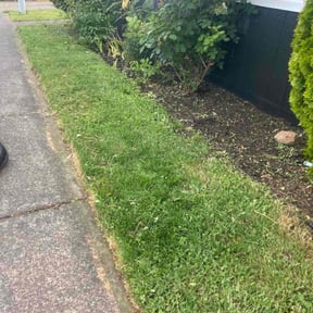 Flower Bed Weeding by Smith family lawn service reviewed on July 31, 2022