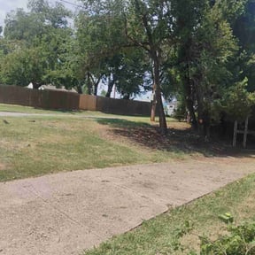 Bush Trimming by Perez Lawn Care llc reviewed on March 30, 2025