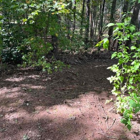 Cleanups by Angel Nieves reviewed on June 11, 2022