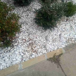 Flower Bed Weeding by Do it,did it, DONE reviewed on March 18, 2025
