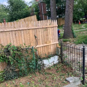 Bush Trimming by Danny’s Lawn Service reviewed on May 31, 2022