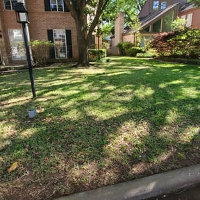 Leaf Removal by Antonio Villasenor reviewed on September 18, 2024