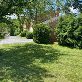 Bush Trimming by Lawn services JAV reviewed on September 6, 2024