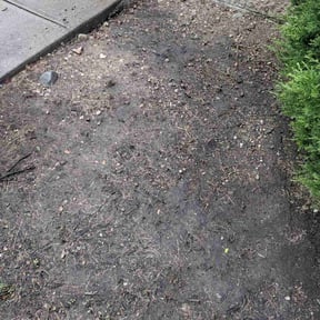 Flower Bed Weeding by Liberty’s Stripes - Yard Professionals reviewed on September 2, 2024