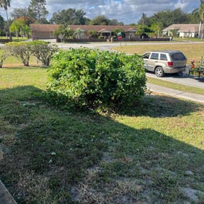 Bush Trimming by J&D Lawn Care Services & More LLC reviewed on August 7, 2025