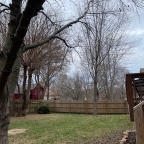Leaf Removal by Suncoast Mowing and Pressure Washing Company reviewed on May 10, 2022