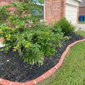 Flower Bed Weeding by lee got u reviewed on May 11, 2021