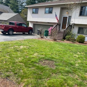 Leaf Removal by jerrys lawns service reviewed on April 14, 2022