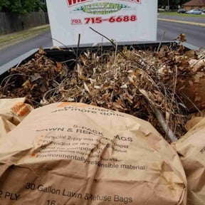 Cleanups by Krenik lawn services reviewed on October 24, 2024