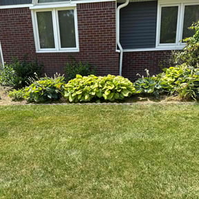 Flower Bed Weeding by Guerrero's Lawn Service reviewed on May 15, 2022
