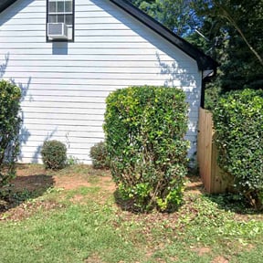 Bush Trimming by JACKSON Lawn Care reviewed on July 6, 2022