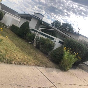 Bush Trimming by GrassSlayers Property Maintenance reviewed on June 11, 2022