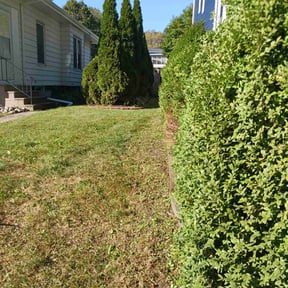 Bush Trimming by Old Skool Outdoorz, LLC reviewed on June 23, 2022