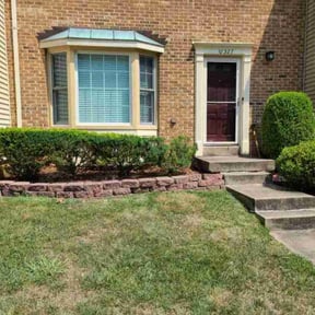 Bush Trimming by Mainline Lawn Care reviewed on June 17, 2022