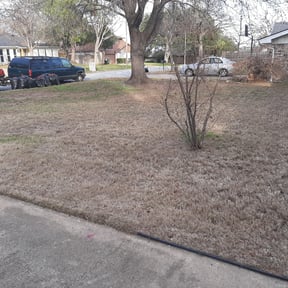 Leaf Removal by Lonestar Landscaping group reviewed on May 8, 2025