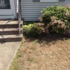 Bush Trimming by Hawkins Landscaping & Construction reviewed on April 23, 2022