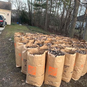 Leaf Removal by Florida’s Finest lawn care reviewed on July 28, 2022