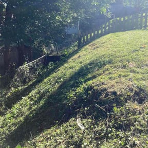 Cleanups by Rise Lawn Care reviewed on August 8, 2025
