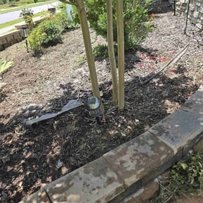 Flower Bed Weeding by Royal Scenery LLC reviewed on June 5, 2022
