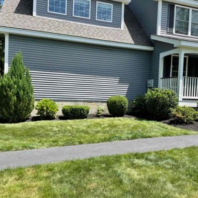 Bush Trimming by Picture perfect lawn maintenance reviewed on January 4, 2022