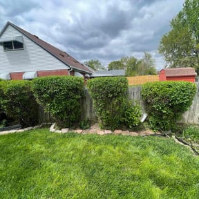 Bush Trimming by Big 3 Lawns and Landscaping reviewed on April 27, 2022